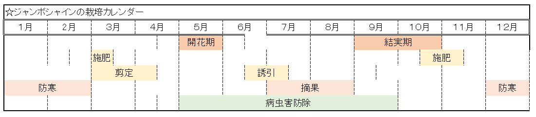 由良早生みかん 育て方のご紹介 とっても甘い小みかん 家庭菜園におすすめの品種です １０坪のお庭の物語 だいちゃんの農業日誌